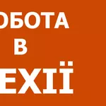 Работа на заводе по изготовлению канистр в Чехии