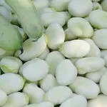  Посівний матеріал квасолі. Насіння квасолі. 