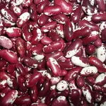 Великий асортимент високоякісної квасолі оптом (більше 20 сортів)