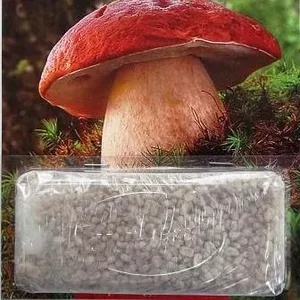 мицелий грибов зерновой биологически высушенный