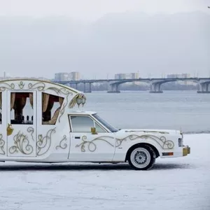 Лимузин-Карета на свадьбу в Житомире
