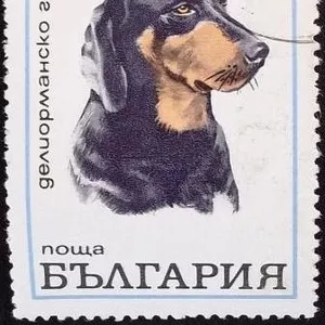 марки Болгарии - фауна
