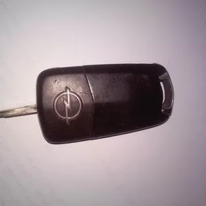 Найден ключ от машины OPEL Житомир