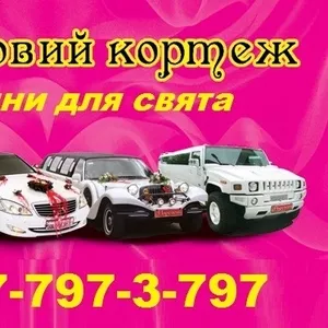 Лимузин Житомир,  свадебное авто