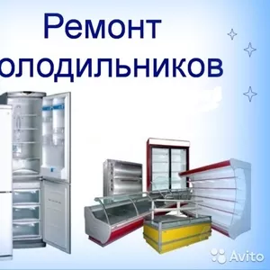 Ремонт холодильников любой сложности - Житомир, область.