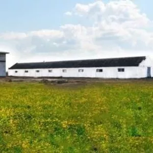 Продается комплекс агропромышленного предприятия в Житомирской области