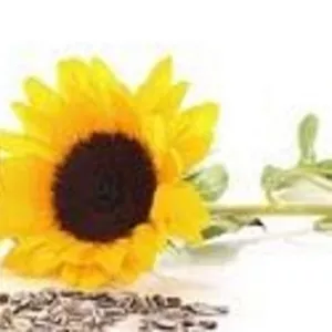 Скупка бакового остатка растительных масел.  