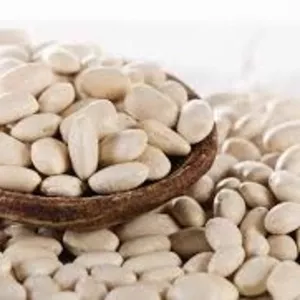 Купуємо квасолю по Україні. Самовивіз