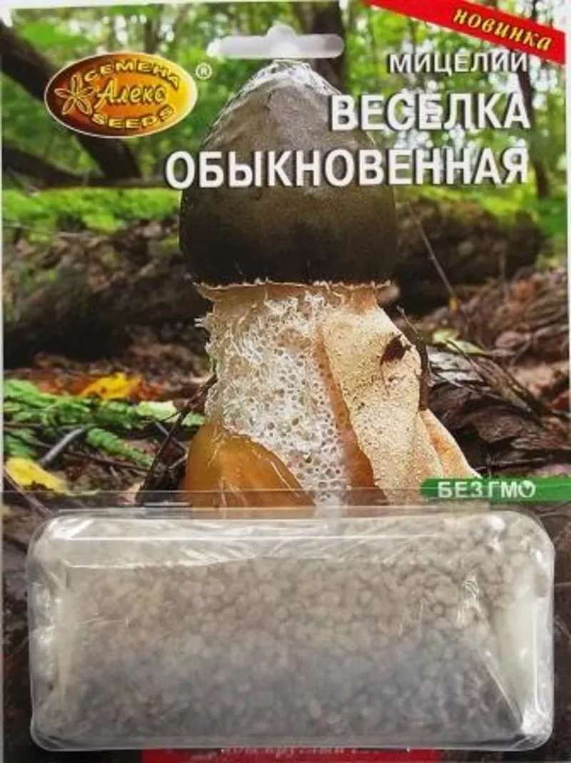 мицелий грибов зерновой биологически высушенный 4