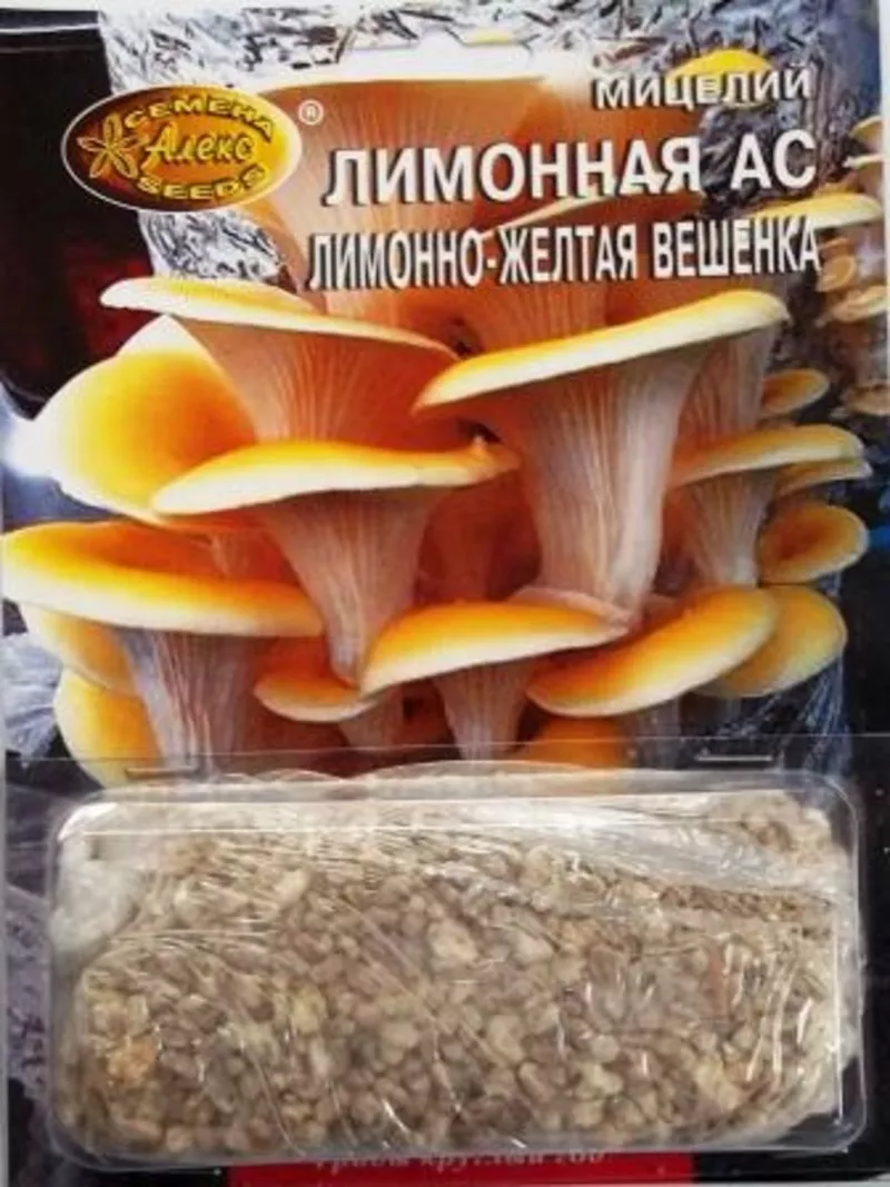 мицелий грибов зерновой биологически высушенный 5