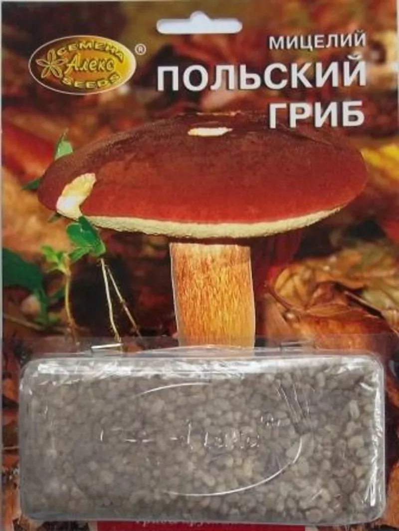 мицелий грибов зерновой биологически высушенный 6