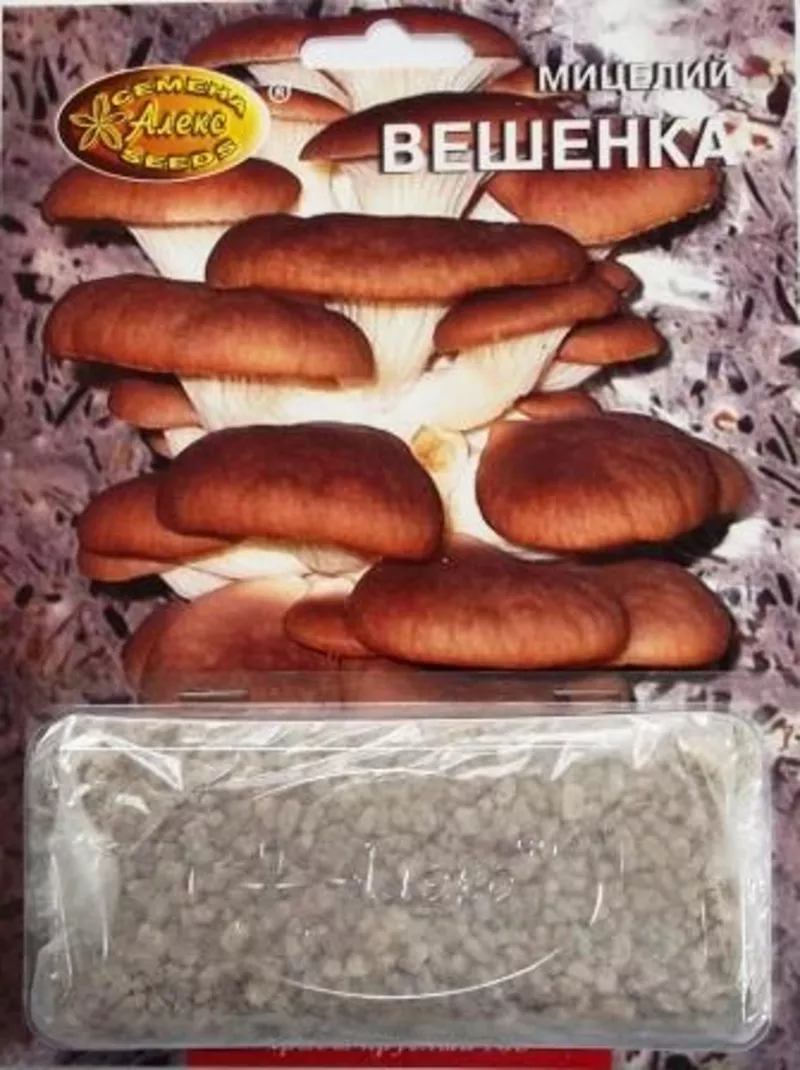 мицелий грибов зерновой биологически высушенный 7