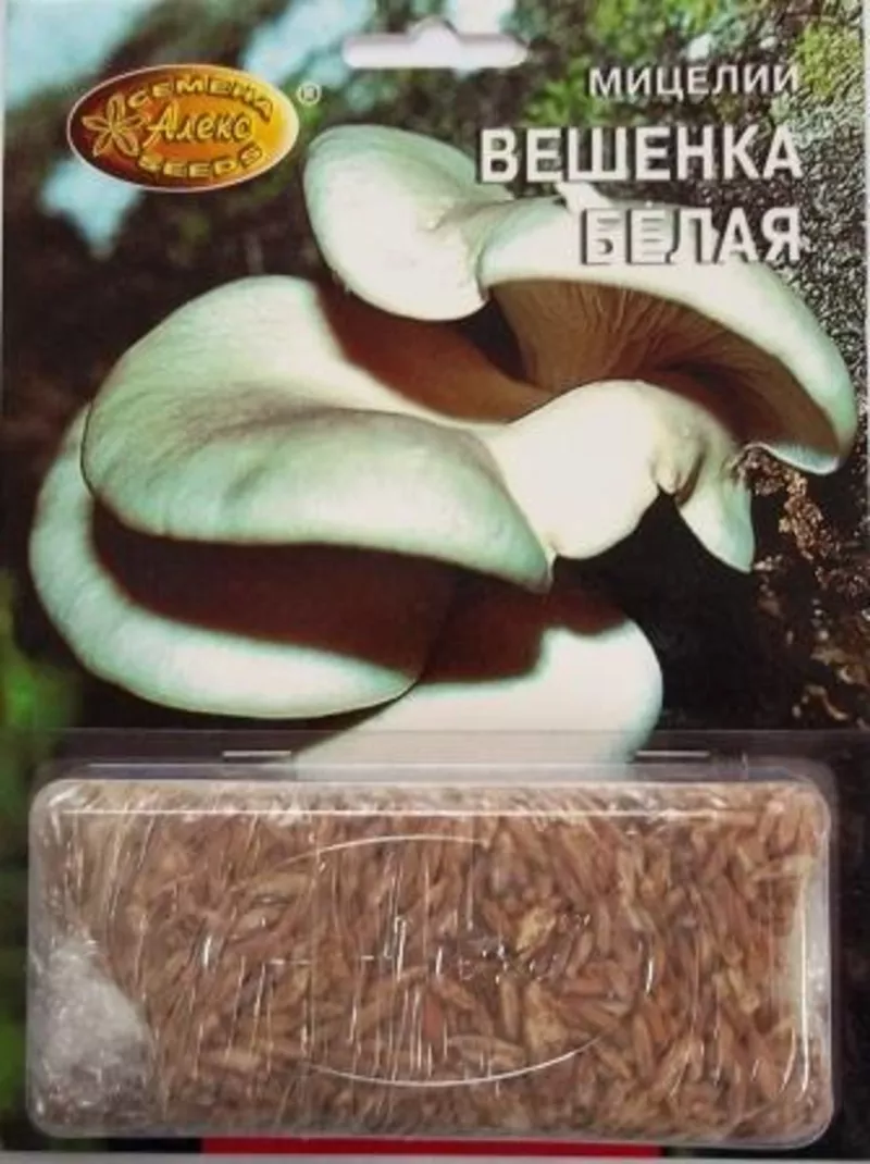мицелий грибов зерновой биологически высушенный 8