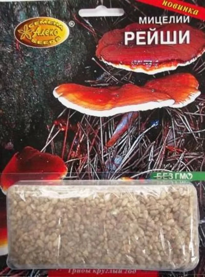 мицелий грибов зерновой биологически высушенный 10