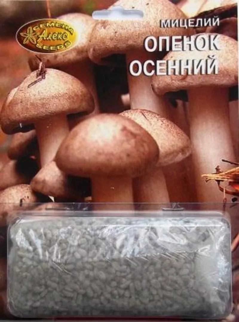 мицелий грибов зерновой биологически высушенный 13
