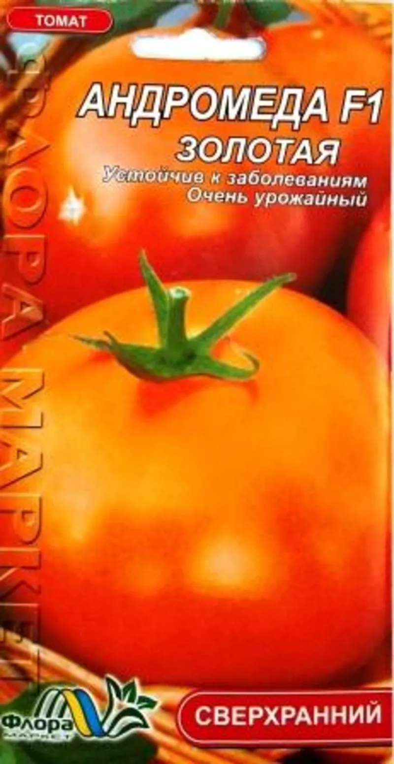 семена низкорослых томатов 3