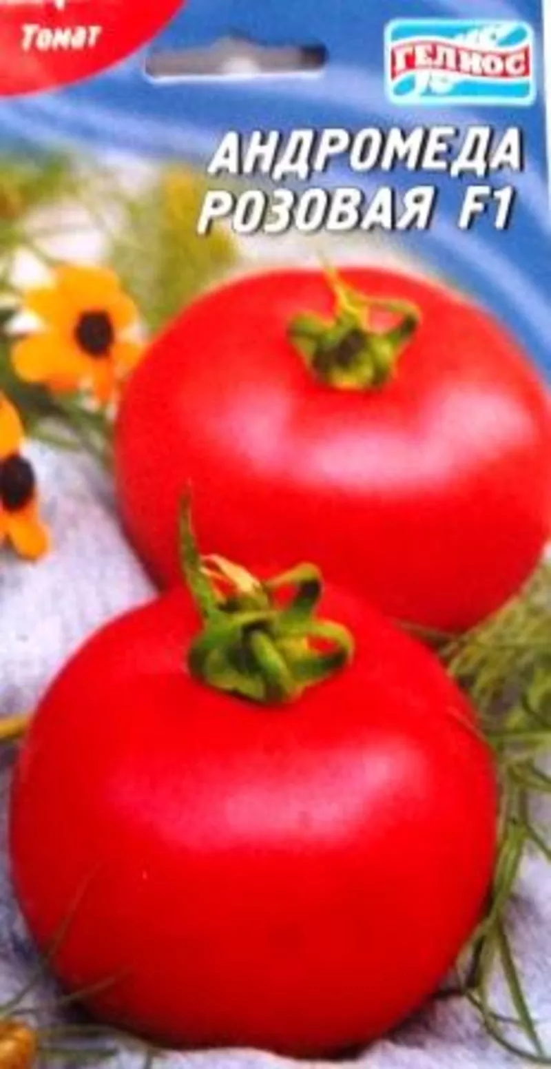 семена низкорослых томатов 4
