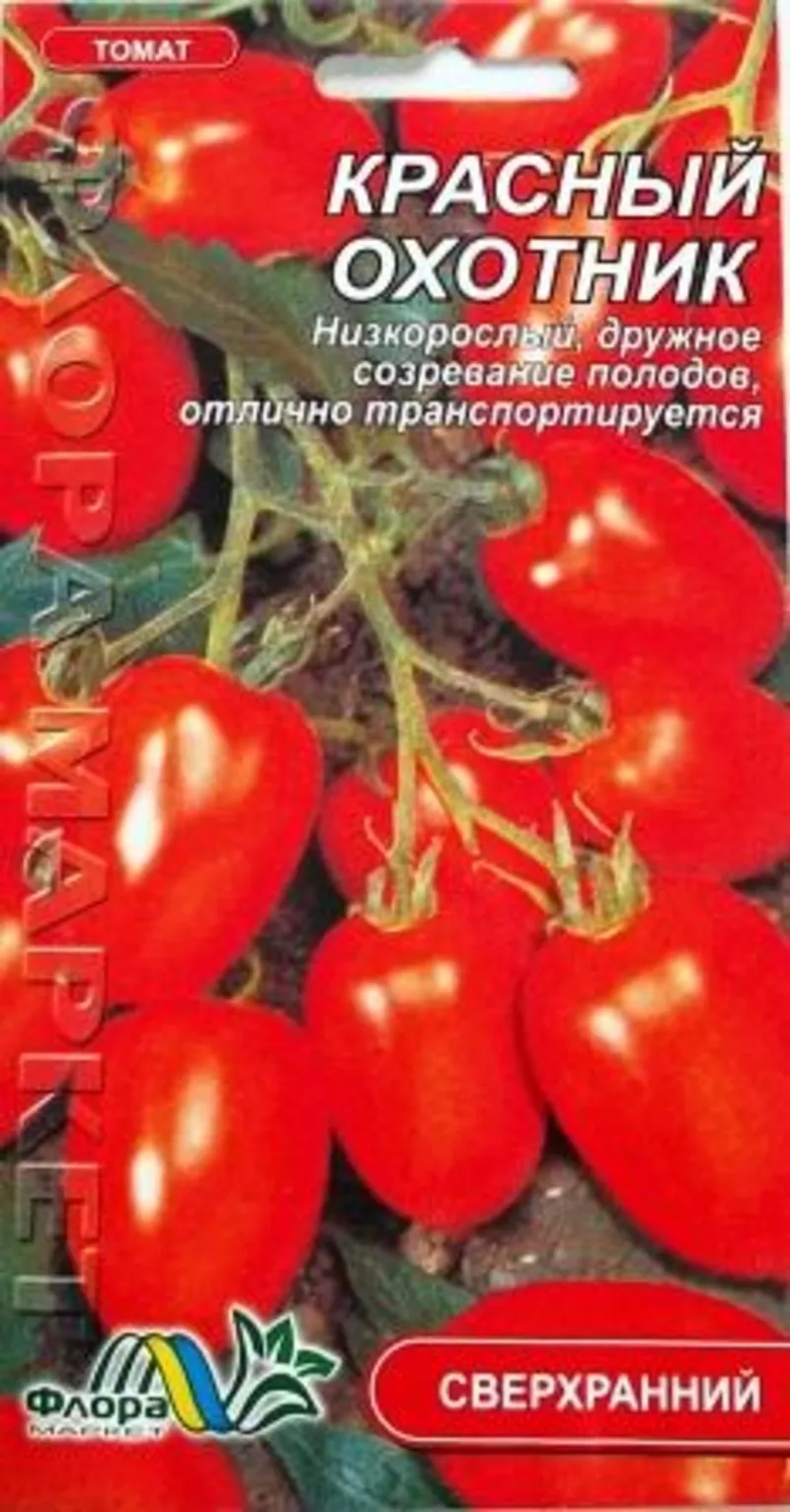 семена низкорослых томатов 7