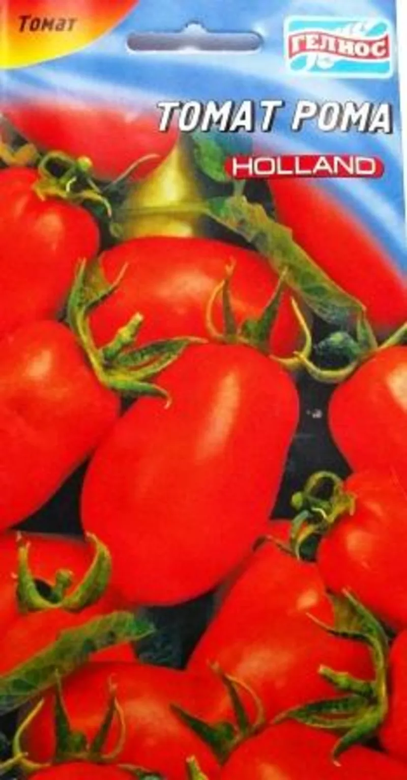 семена низкорослых томатов 10