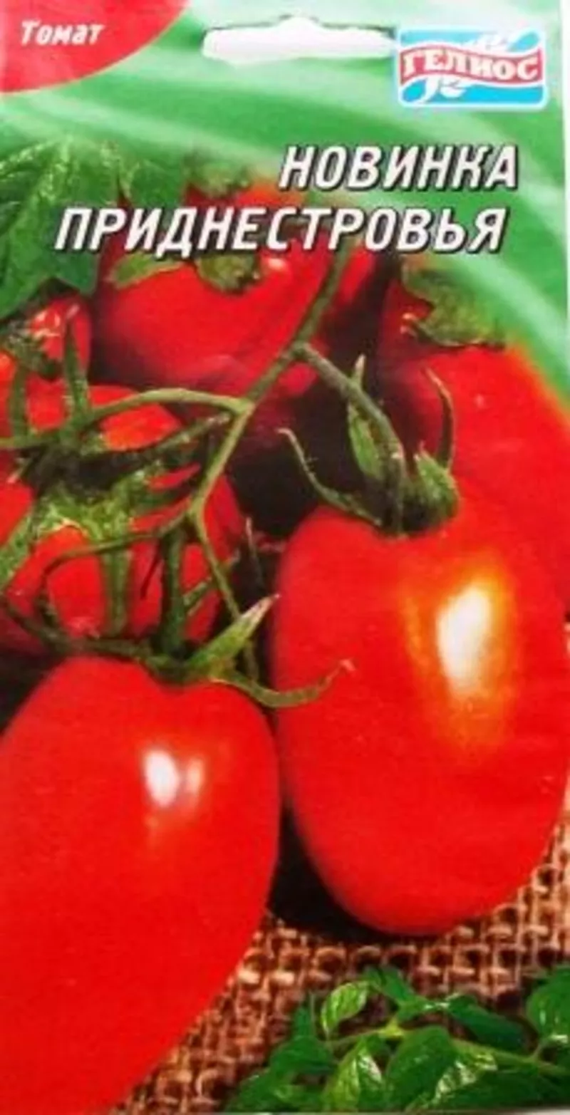 семена низкорослых томатов 15