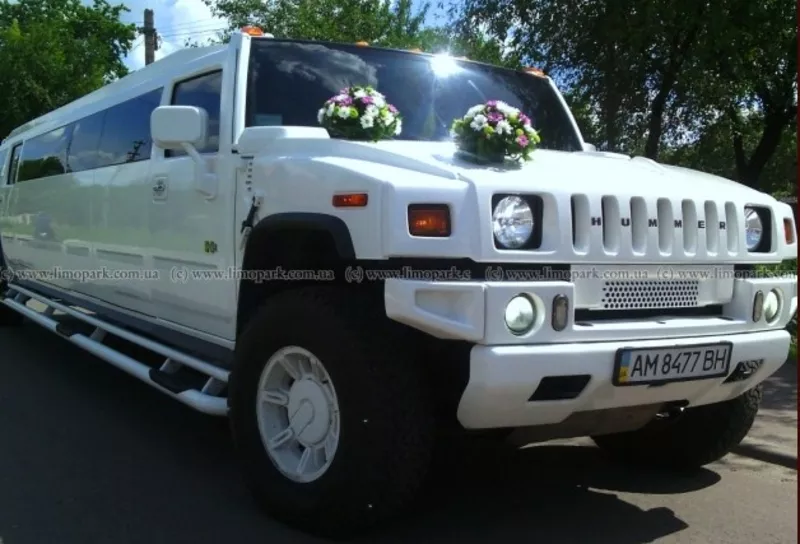 Лимузин Житомир,  свадебное авто 5