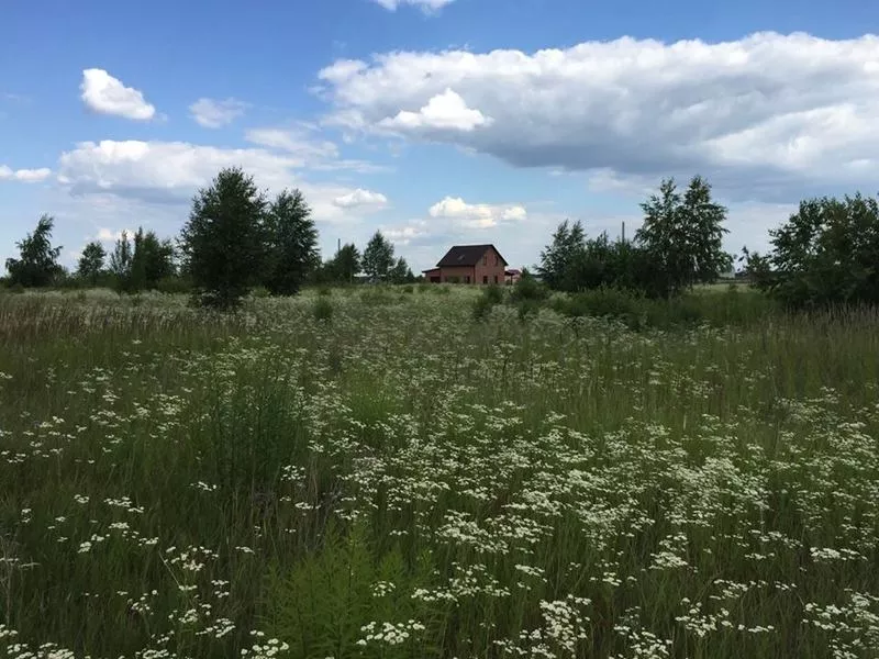 Земля під садівництво,  Брусилів,  Ставище. 2