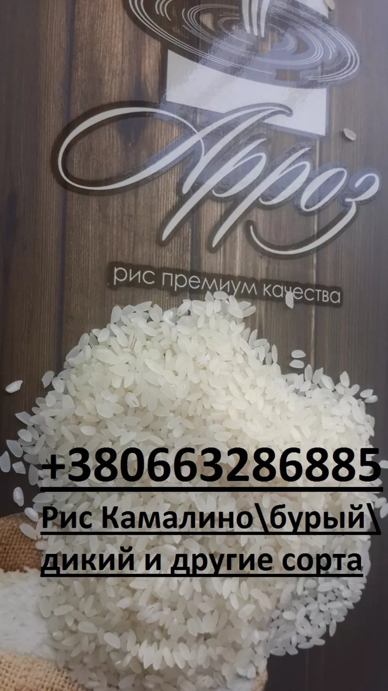 В продаже рис КамалиноКруглыйбурыйдикий и другие сорта 2