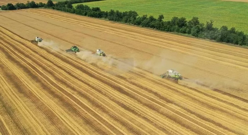 Услуги по уборке урожая комбайнами Житомир, дисковка, аренда комбайна.