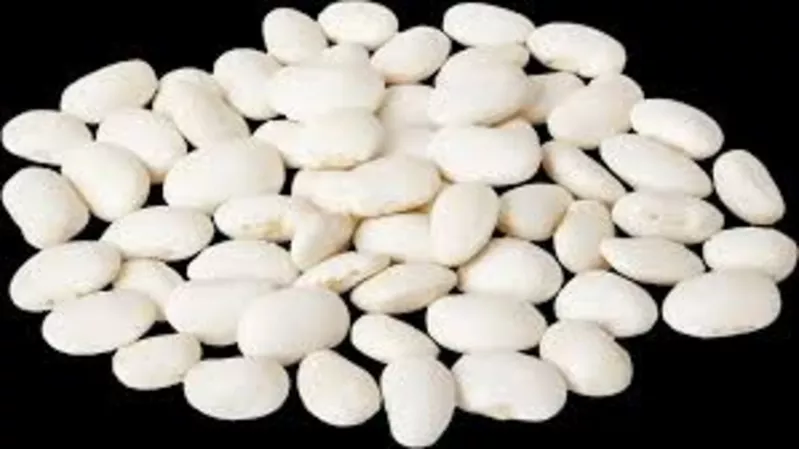 Закупівля квасолі для консервації та переробки