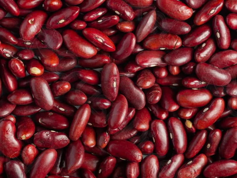 Оптовий продаж квасолі з доставкою